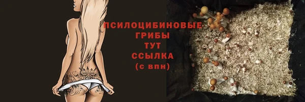 стаф Алексеевка