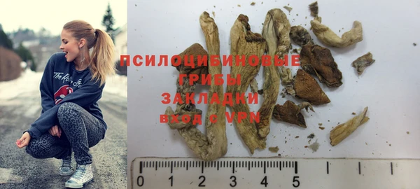 амф Алексин
