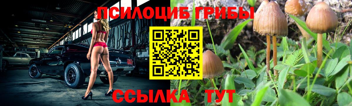 Санкт-Петербург  Псилоцибиновые грибы Magic Shrooms  Вход с VPN 
