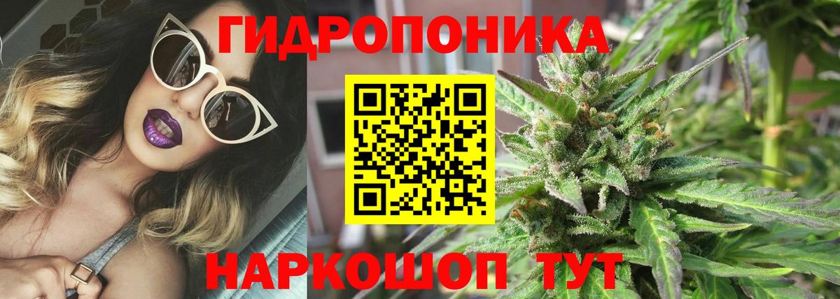 Санкт-Петербург  Конопля индика  Вход с VPN  Конопля тримм  Каннабис Amnesia  Шишки марихуана Bruce Banner 